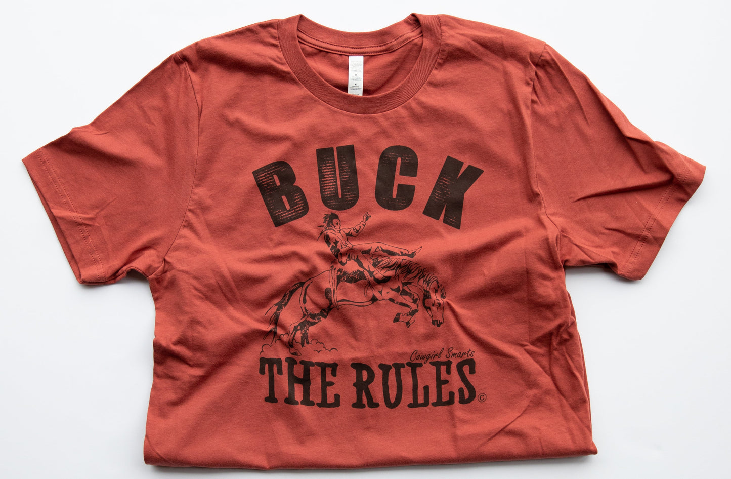 Buck the Rules Tee-Terracotta