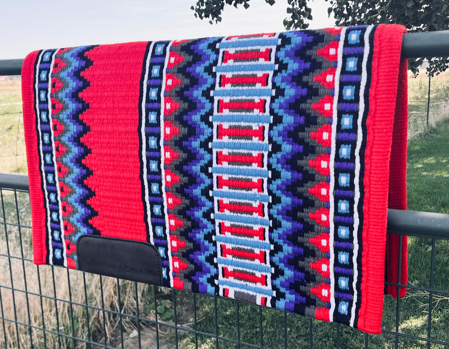 Beautiful red, and blues show pad