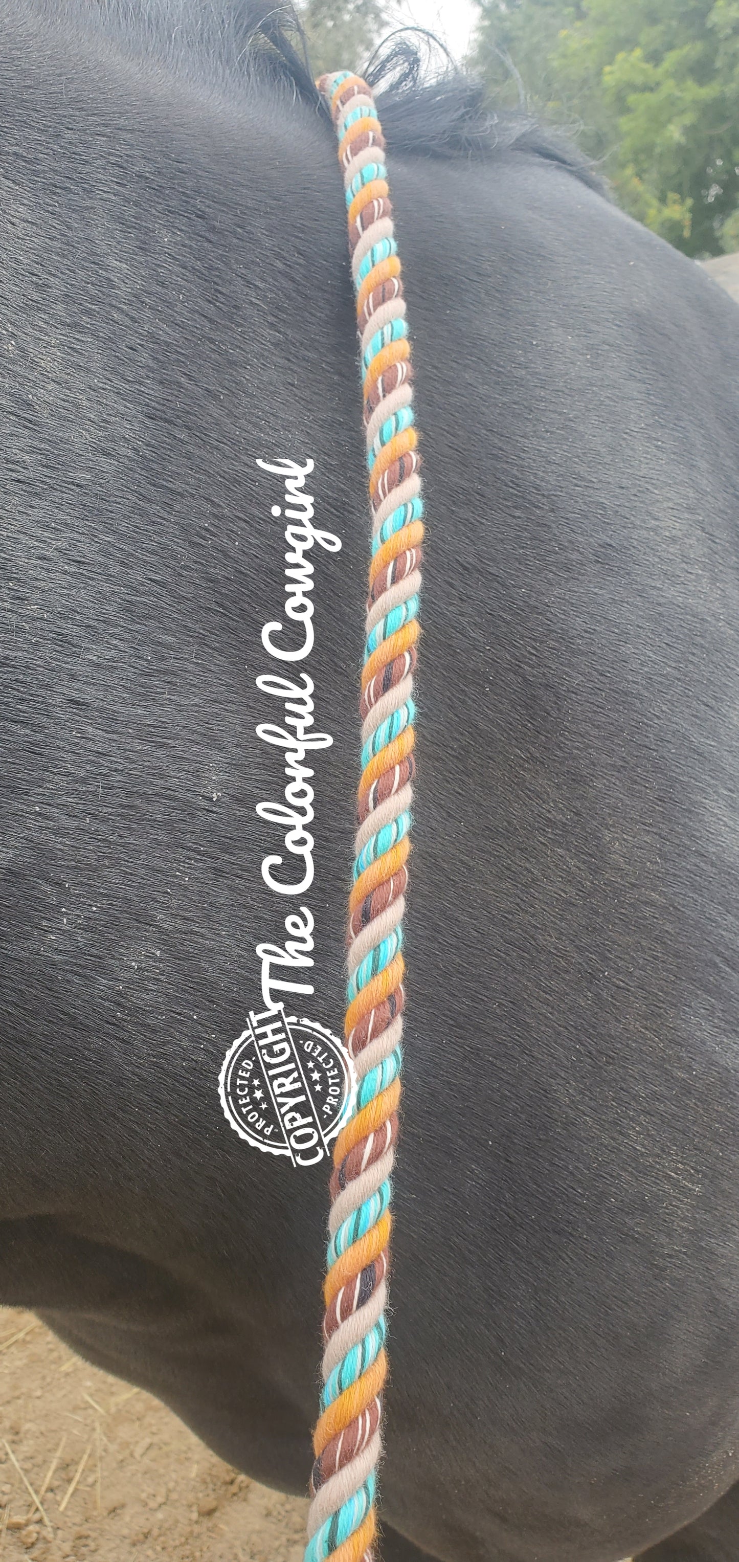 Golden Turquoise Cotton Mecate