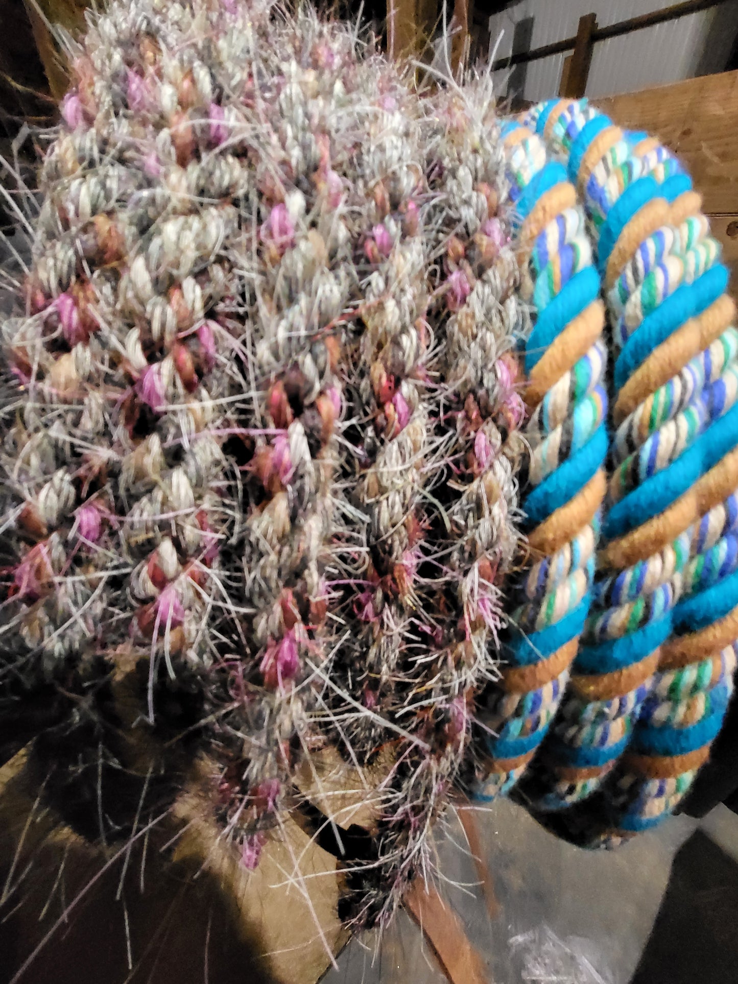 Turquoise Mix Cotton Mecate