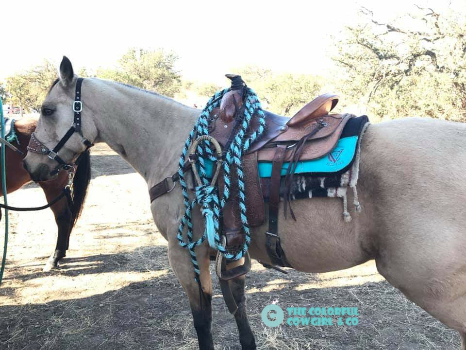 Custom Bosal and Mecate Set