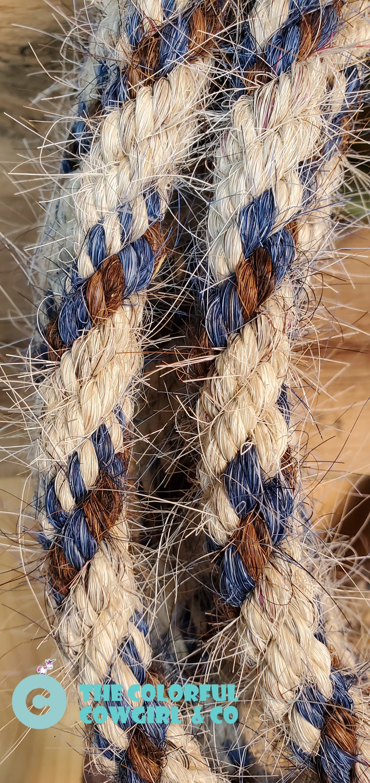 The Silver and Blue Mecate
