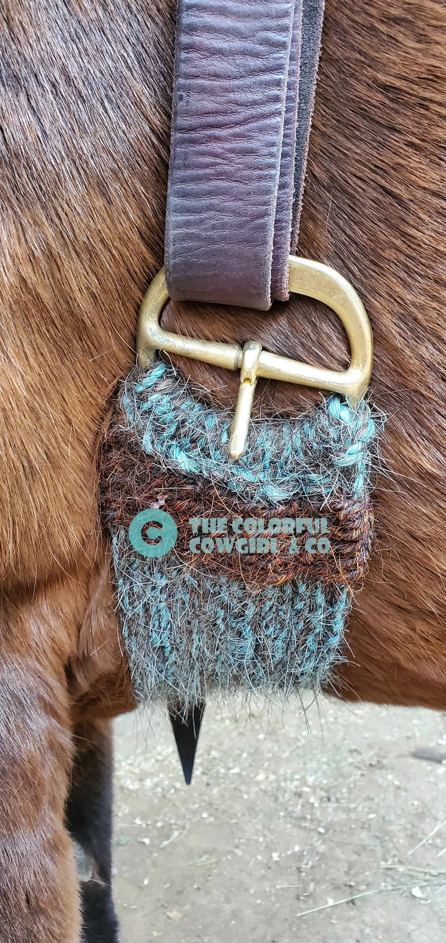 Horsehair Cinch
