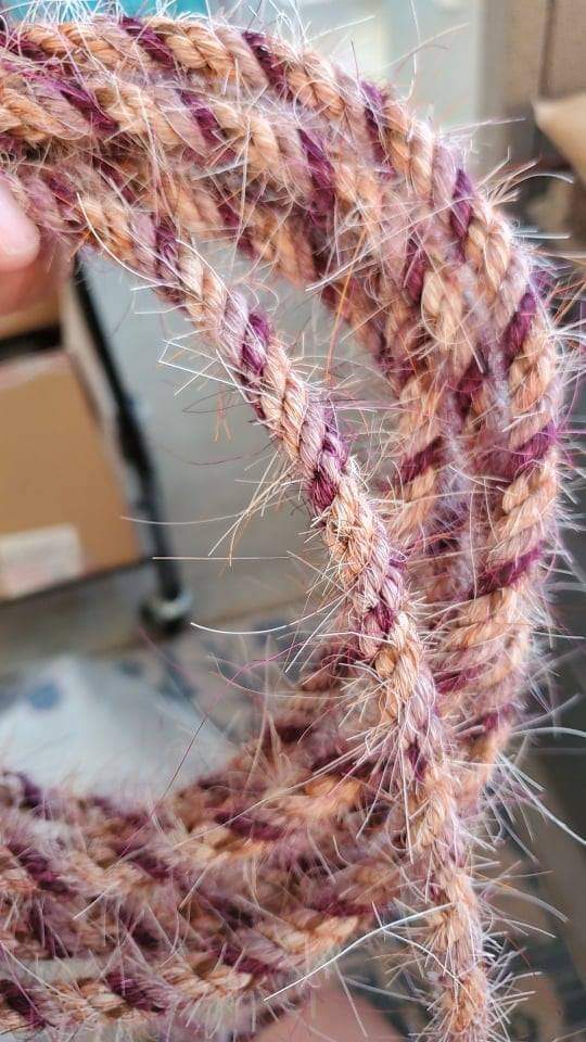 Summers Dream Get Down Line