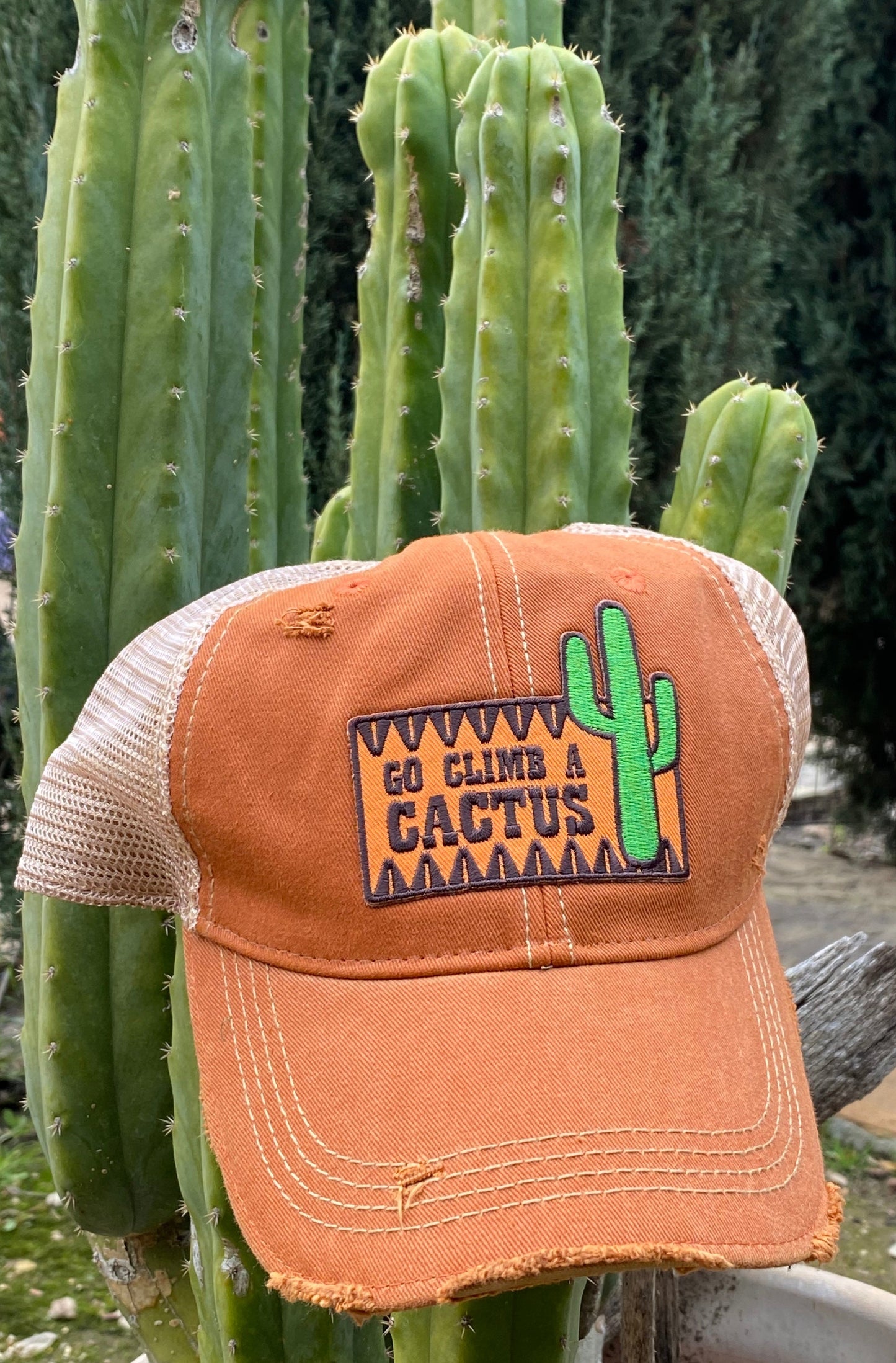Go Climb a Cactus Patch Cap Five Colors Bulk