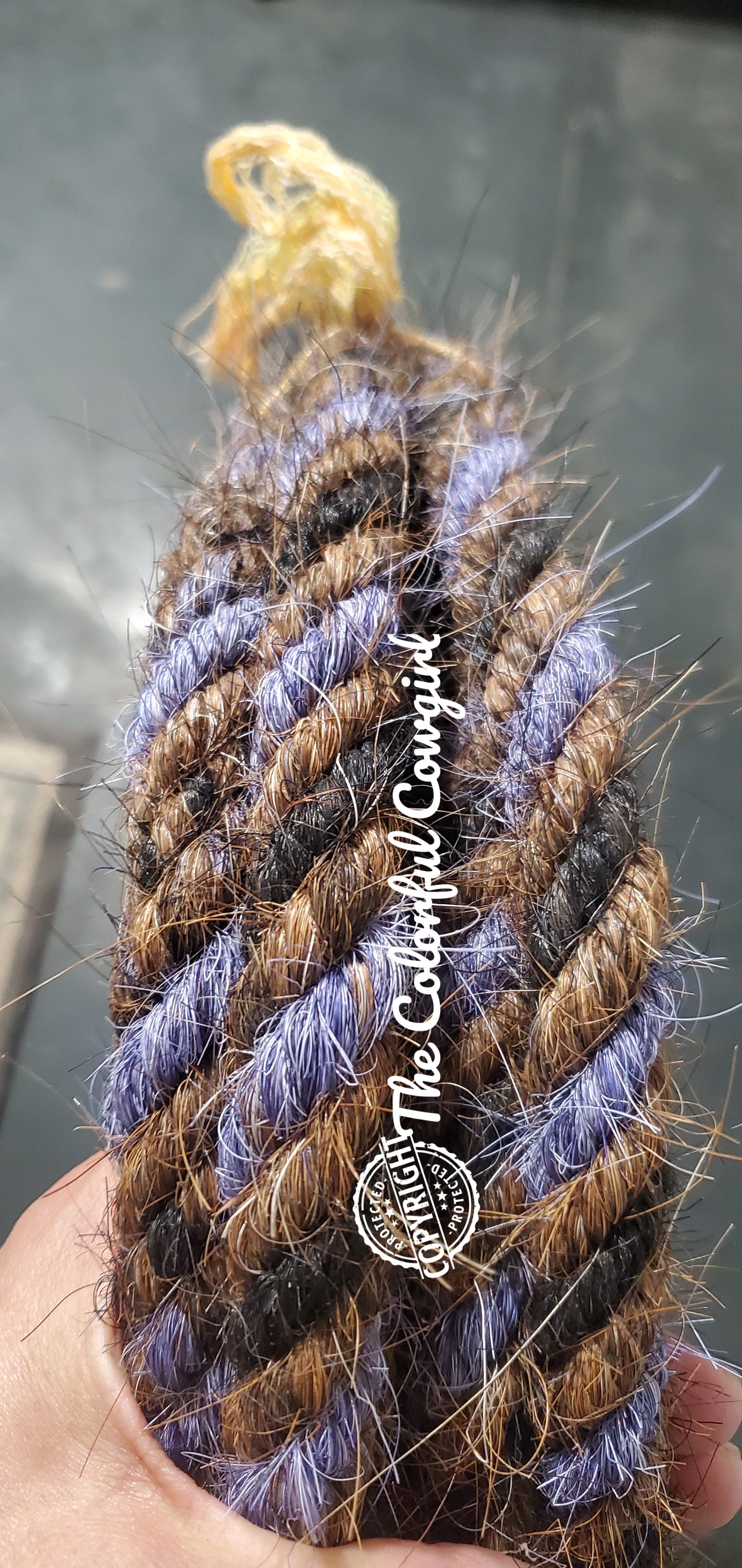 The Purple Iris Mecate
