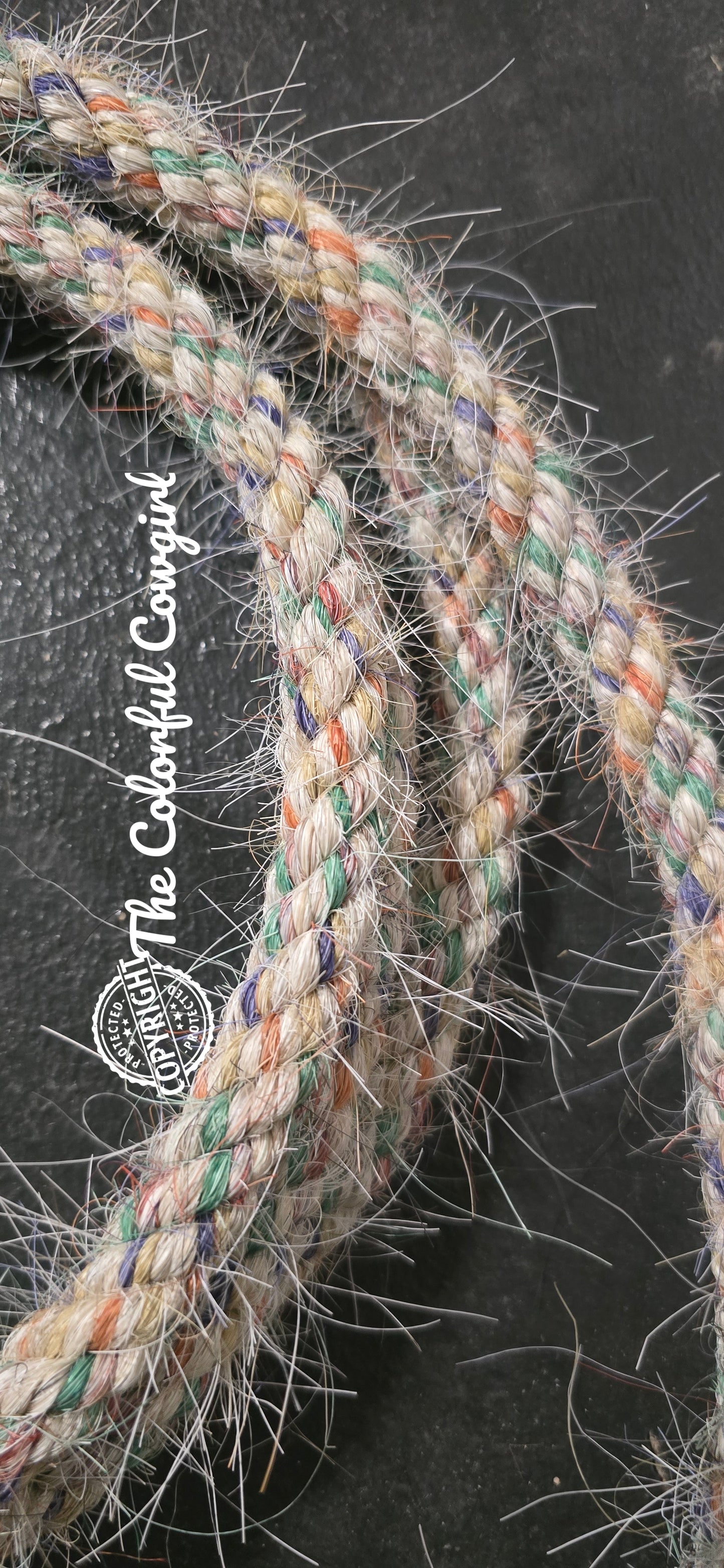 Fun Springtime Loop Rein