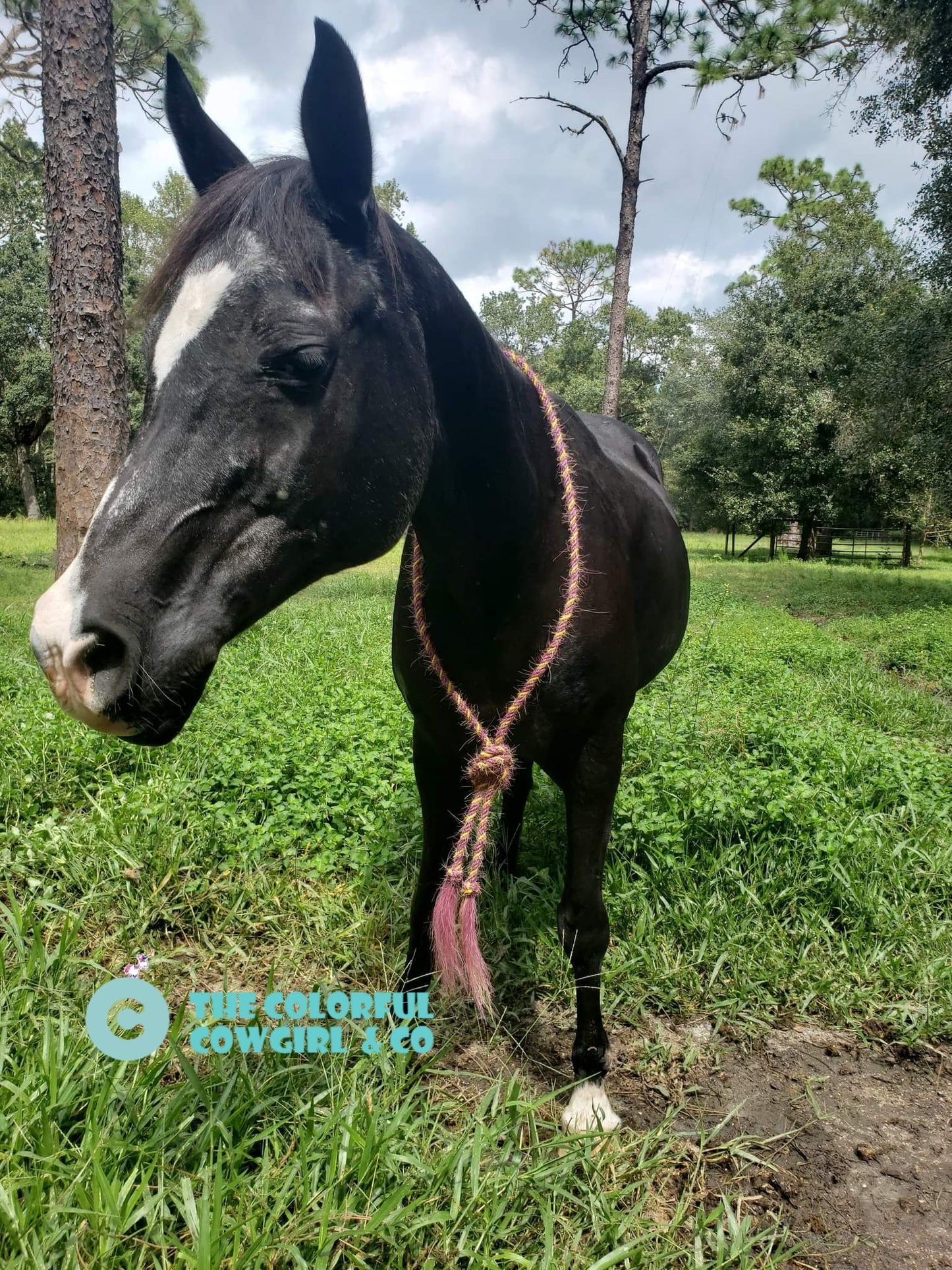 Custom Bridle-less Mecate Neck Rein